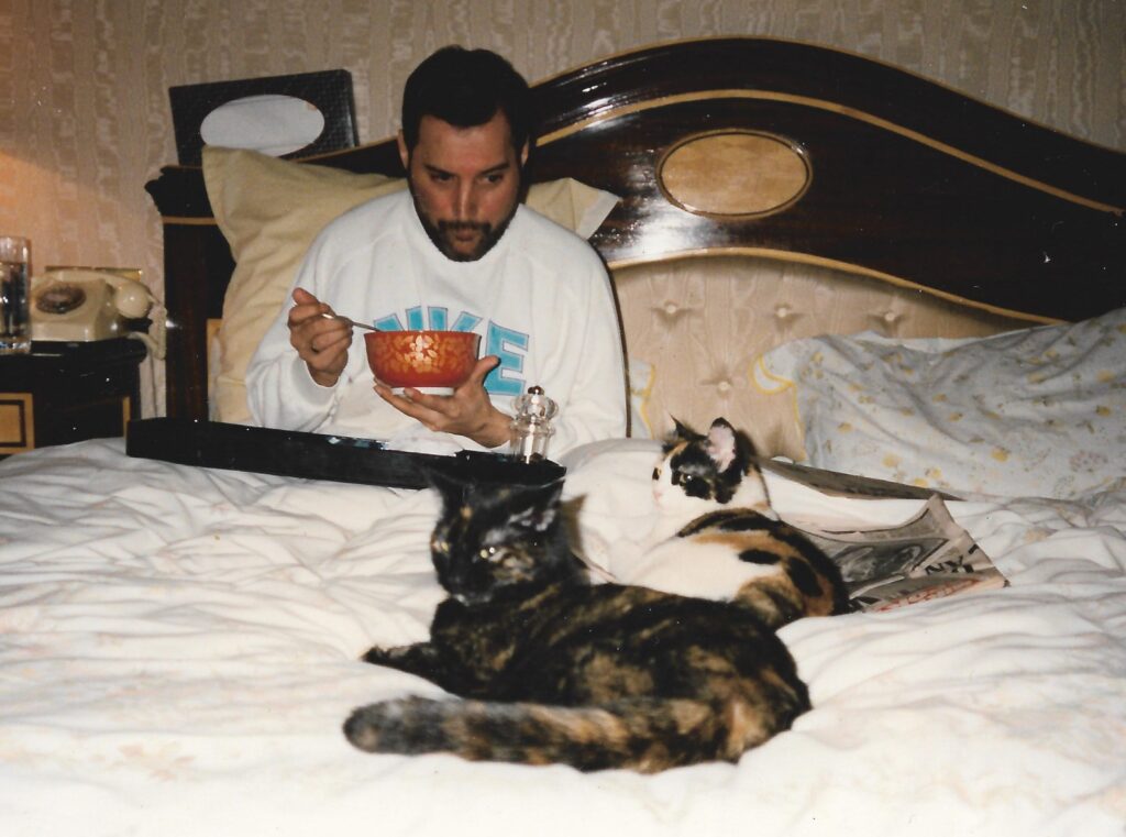 Freddie Mercury a letto con i gatti