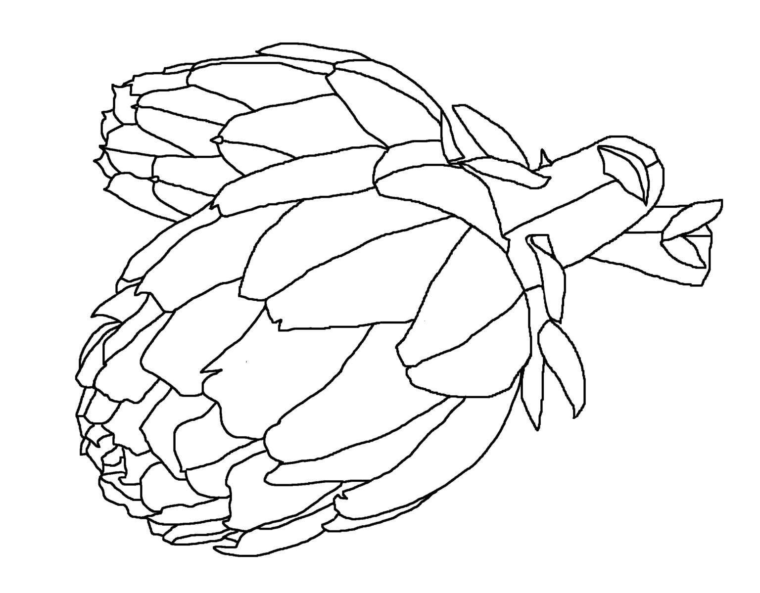 Carciofo, un disegno da colorare
