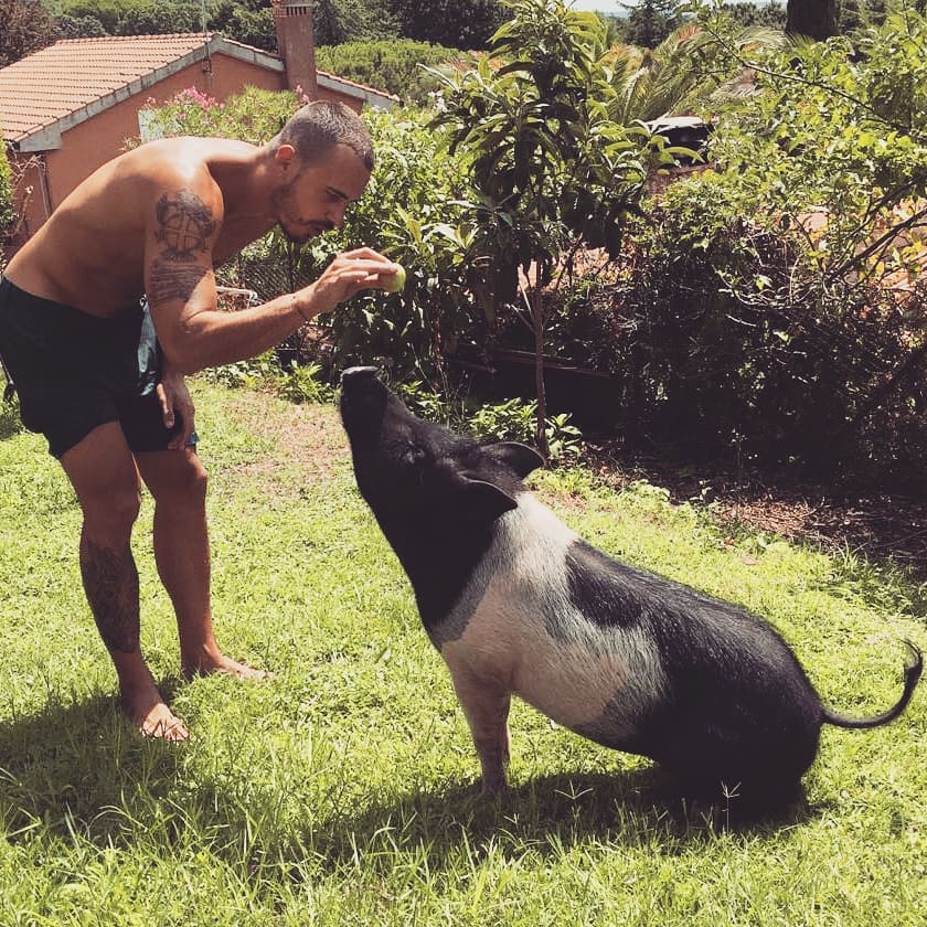 Raniero Monaco di Lapio gioca con il suo maiale, Elvis