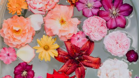 Acqua di San Giovanni, come si fa e a cosa serve il rito dei fiori