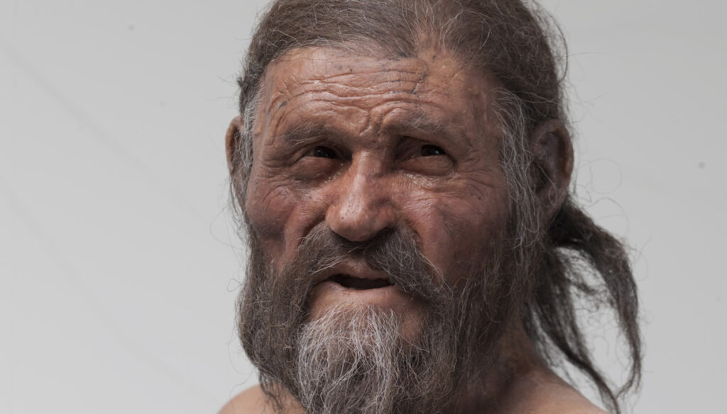 otzi volto