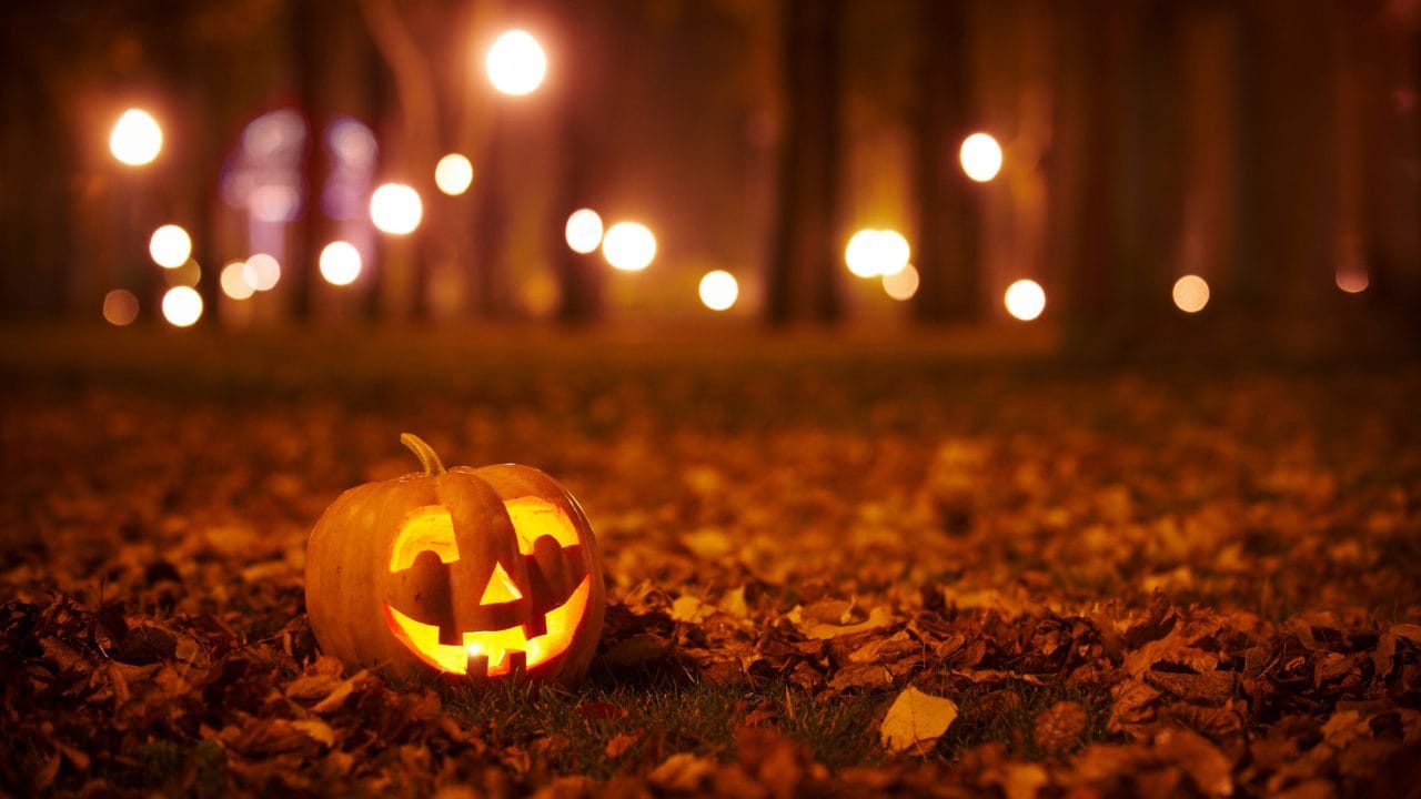 Fotografia che ritrae una zucca di Halloween