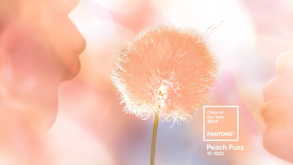 Pantone 2024 Fuzz Peach