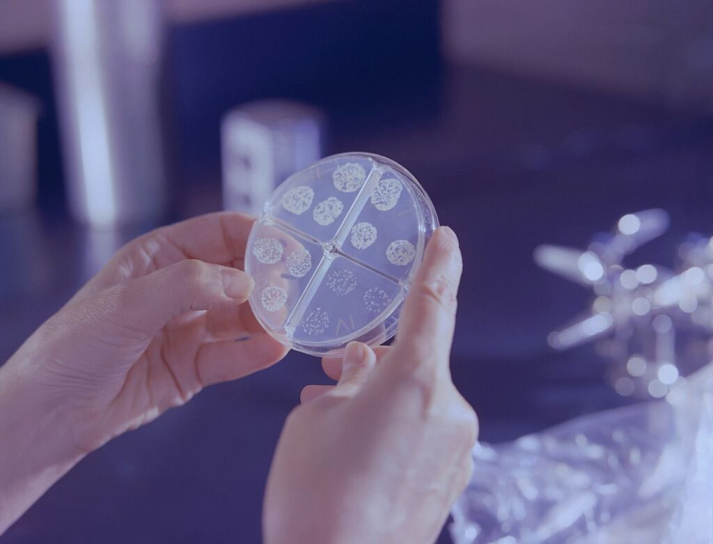 laboratorio analisi