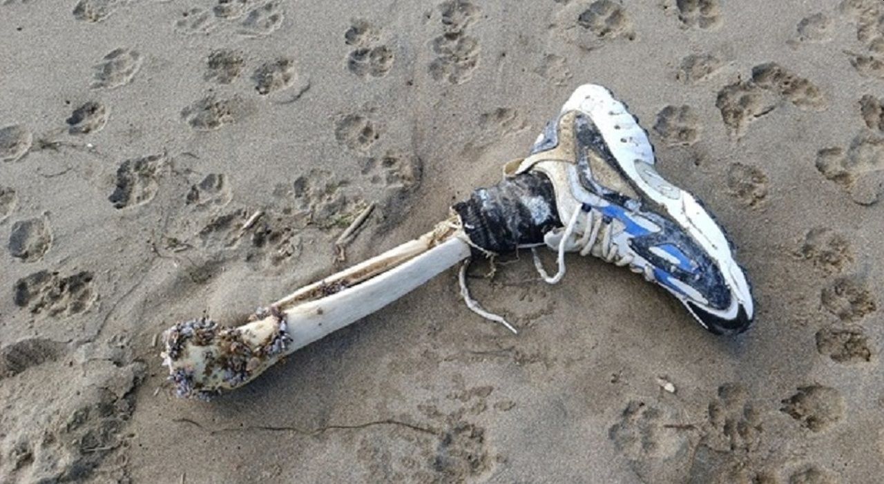 Resti umani sulla spiaggia di Paestum