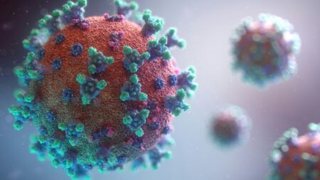 Un dettaglio di un herpes virus