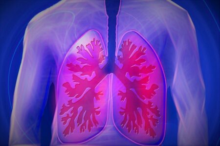 grafica polmoni