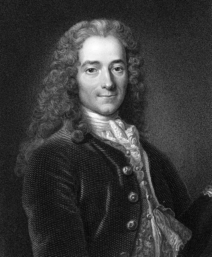 Voltaire primo piano