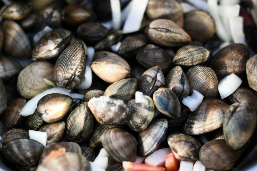 vongole e altri frutti di mare