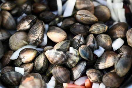 vongole e altri frutti di mare