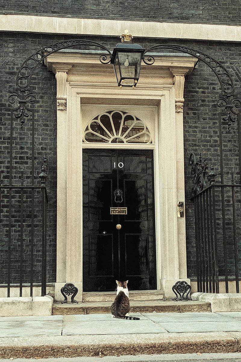 Larry il Gatto davanti a Downing Street