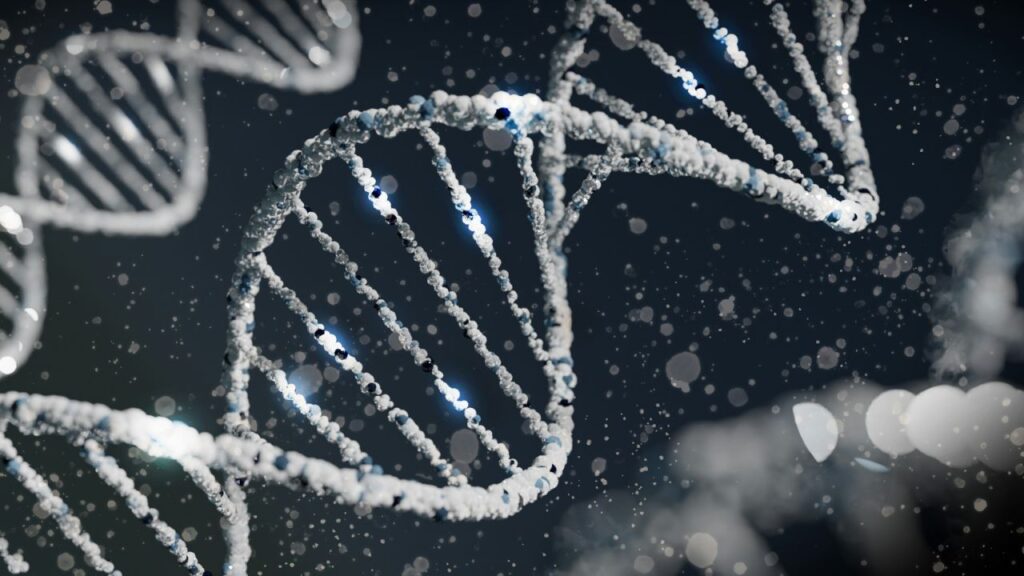 Un filamento di DNA