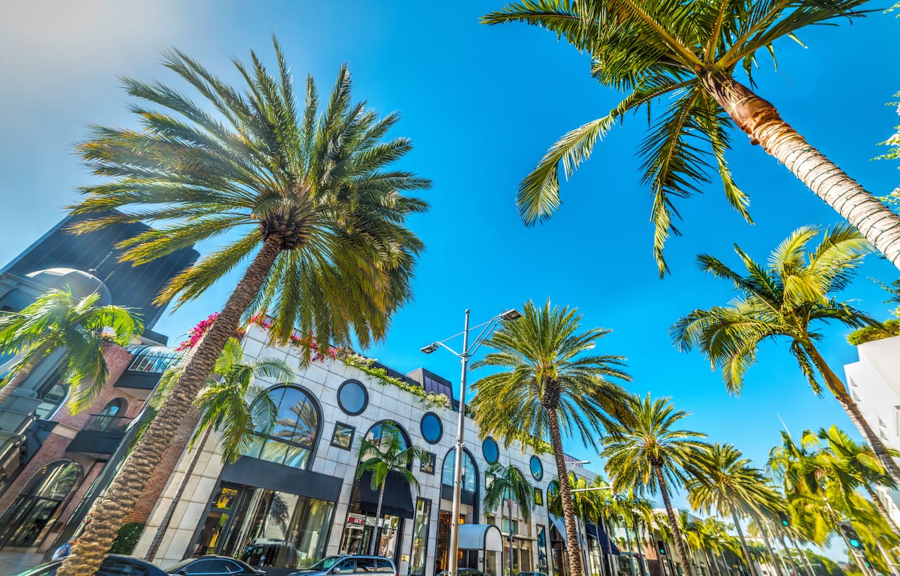 Uno scorcio delle palme di Beverly Hills