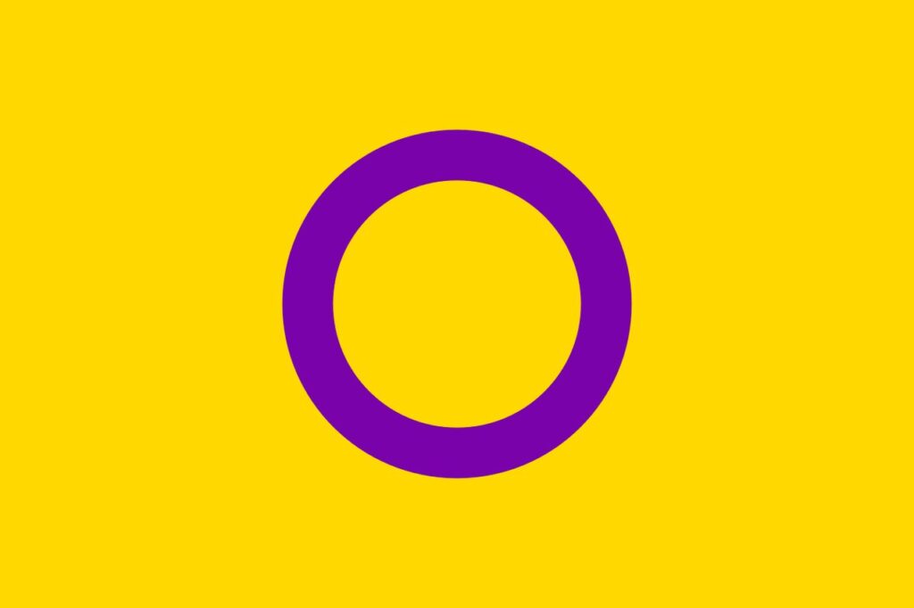 Bandiera Intersex