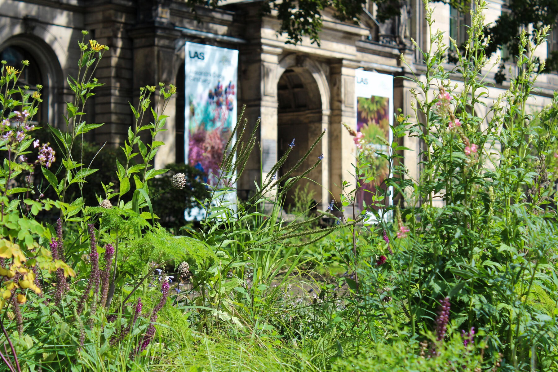 Pollinator Pathmaker Anna Sophie Schwarz Courtesy of Wall GmbH