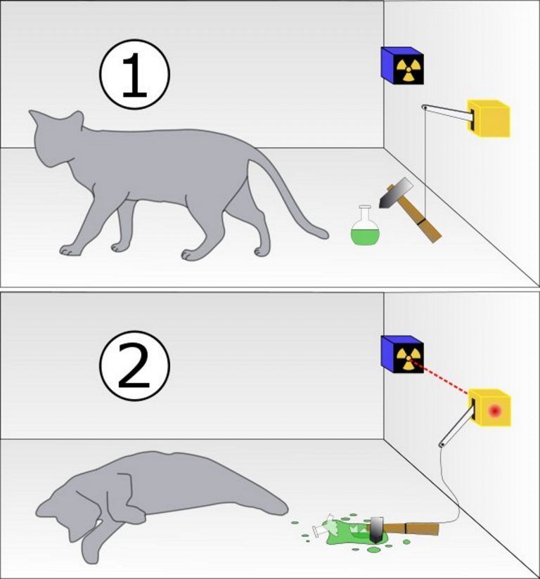 Una rappresentazione del paradosso del gatto di Schrödinger