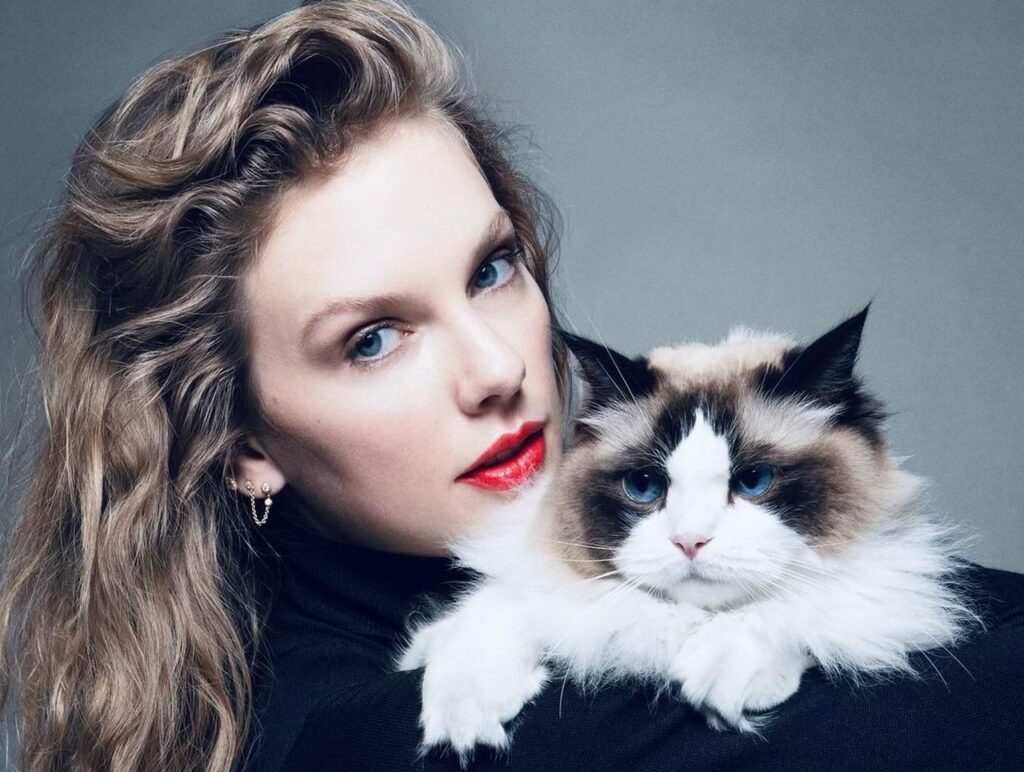 Taylor Swift gatto