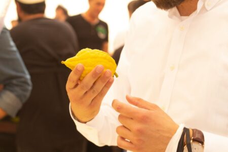 Un rabbino tiene in mano un cedro