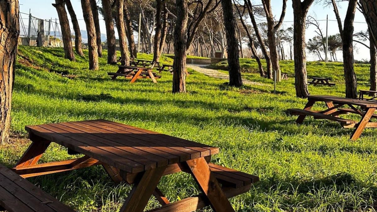 Il bosco che circonda Baia Domizia