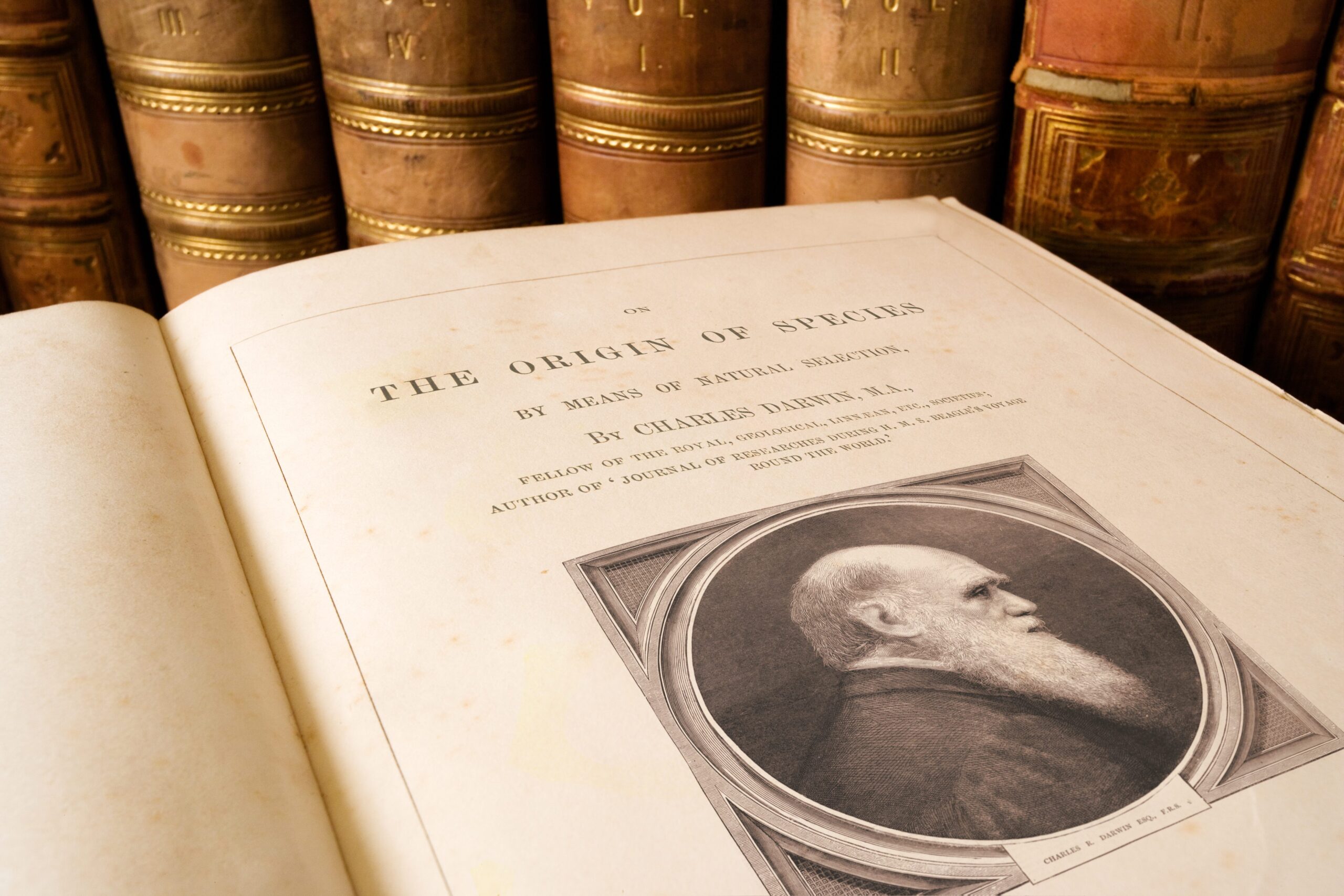 La prima pagina della rivoluzionaria opera di Charles Darwin, L'origine delle speci - Fonte Britannica