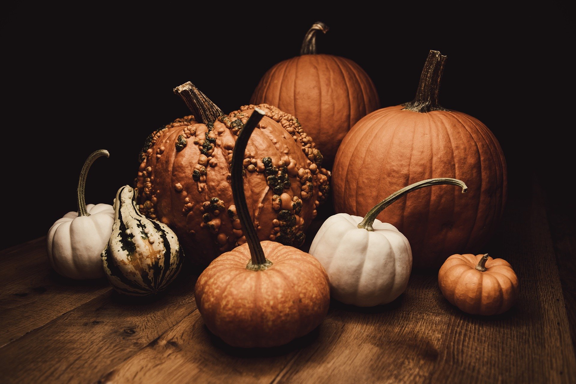 Diversi tipi di zucche da intagliare per Halloween