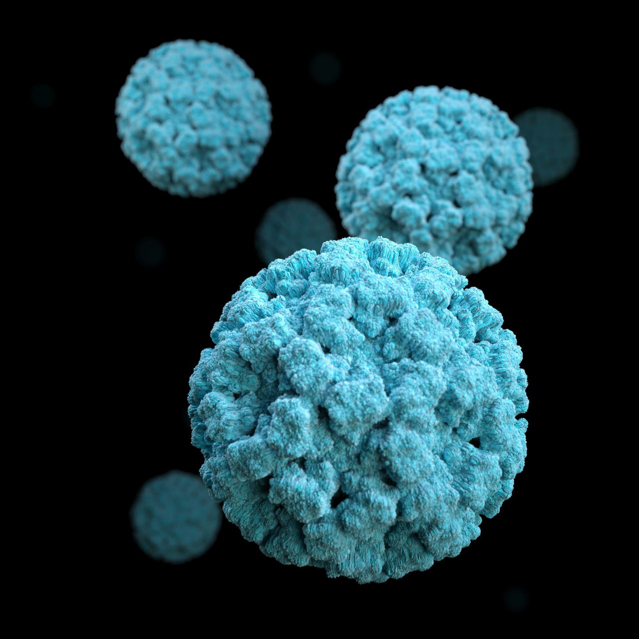 Norovirus