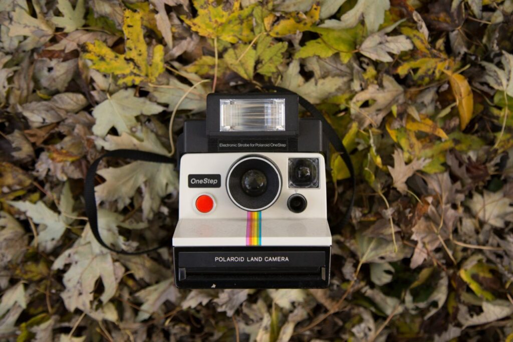 Polaroid adagiata su un letto di foglie