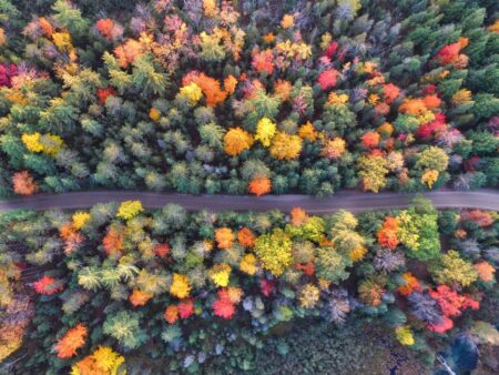 Un bellissimo panorama autunnale