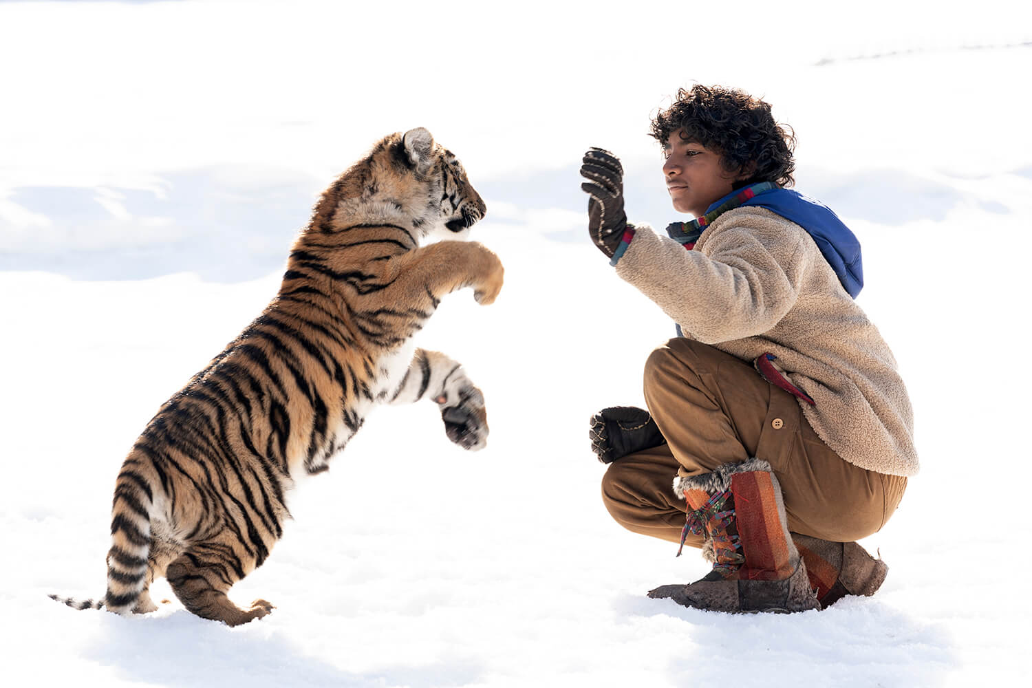 Una scena di Il ragazzo e la tigre