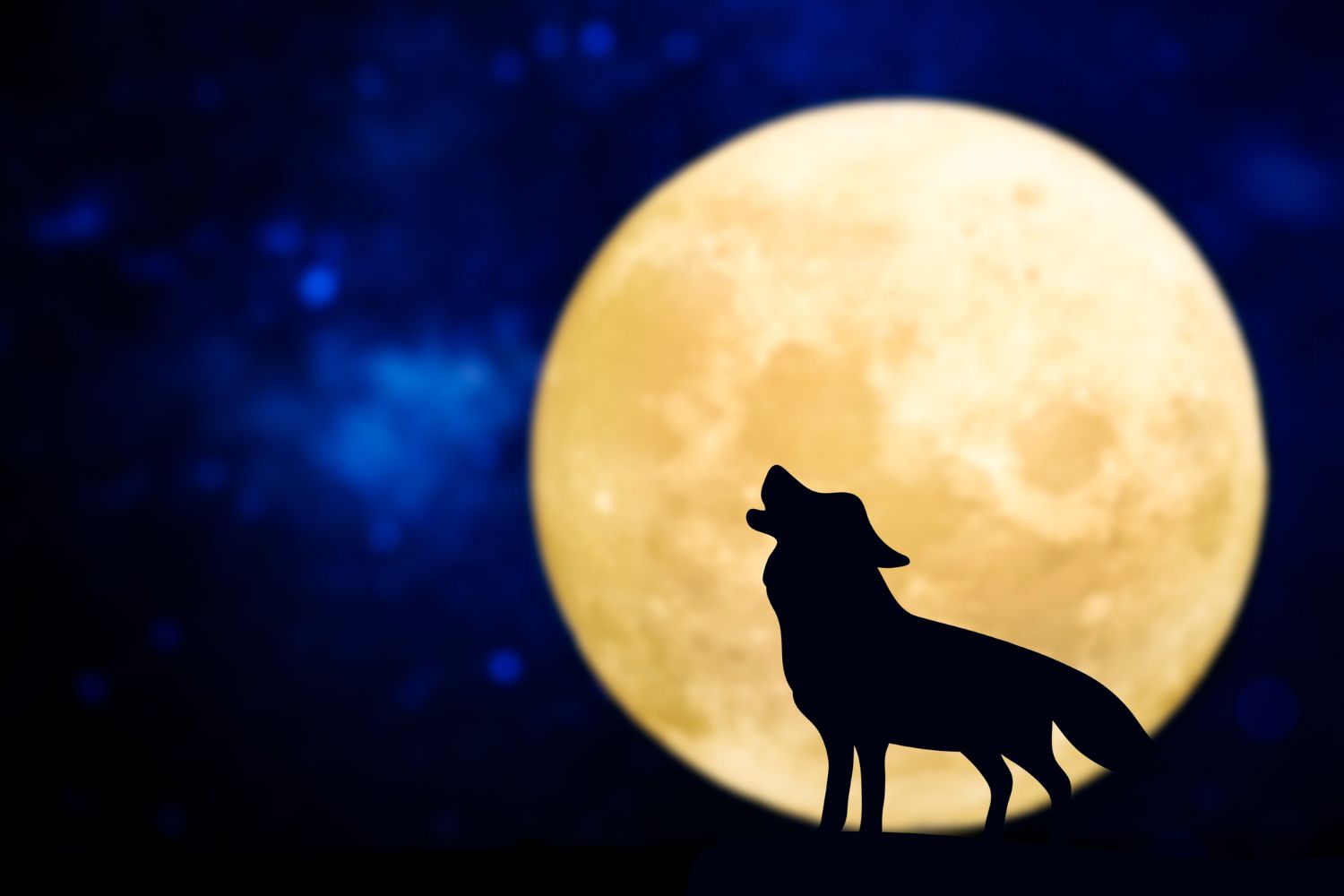 Cos’è la Wolf Moon, perché si chiama così e che caratteristiche ha quest’anno?