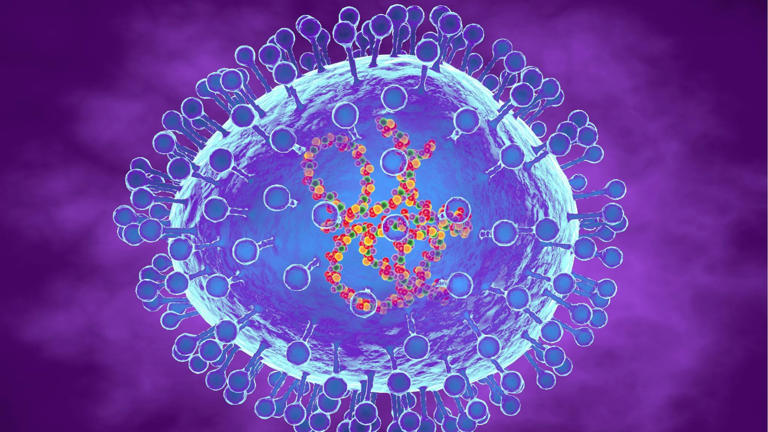 Una grafica del metapneumovirus umano