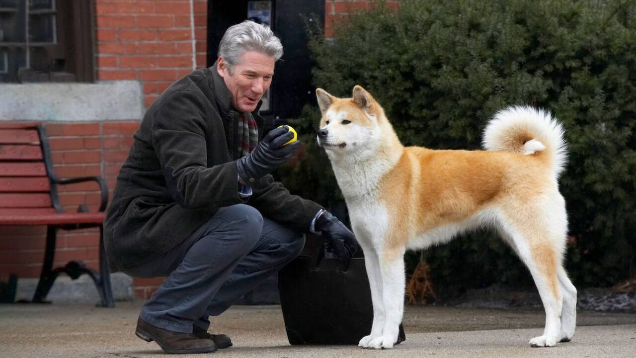 Hachiko – Il tuo migliore amico, come finisce il dramma del 2009 con protagonista Richard Gere