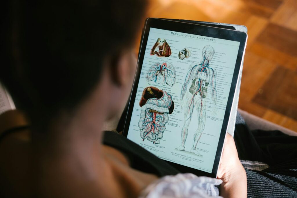 persona studia anatomia su tablet