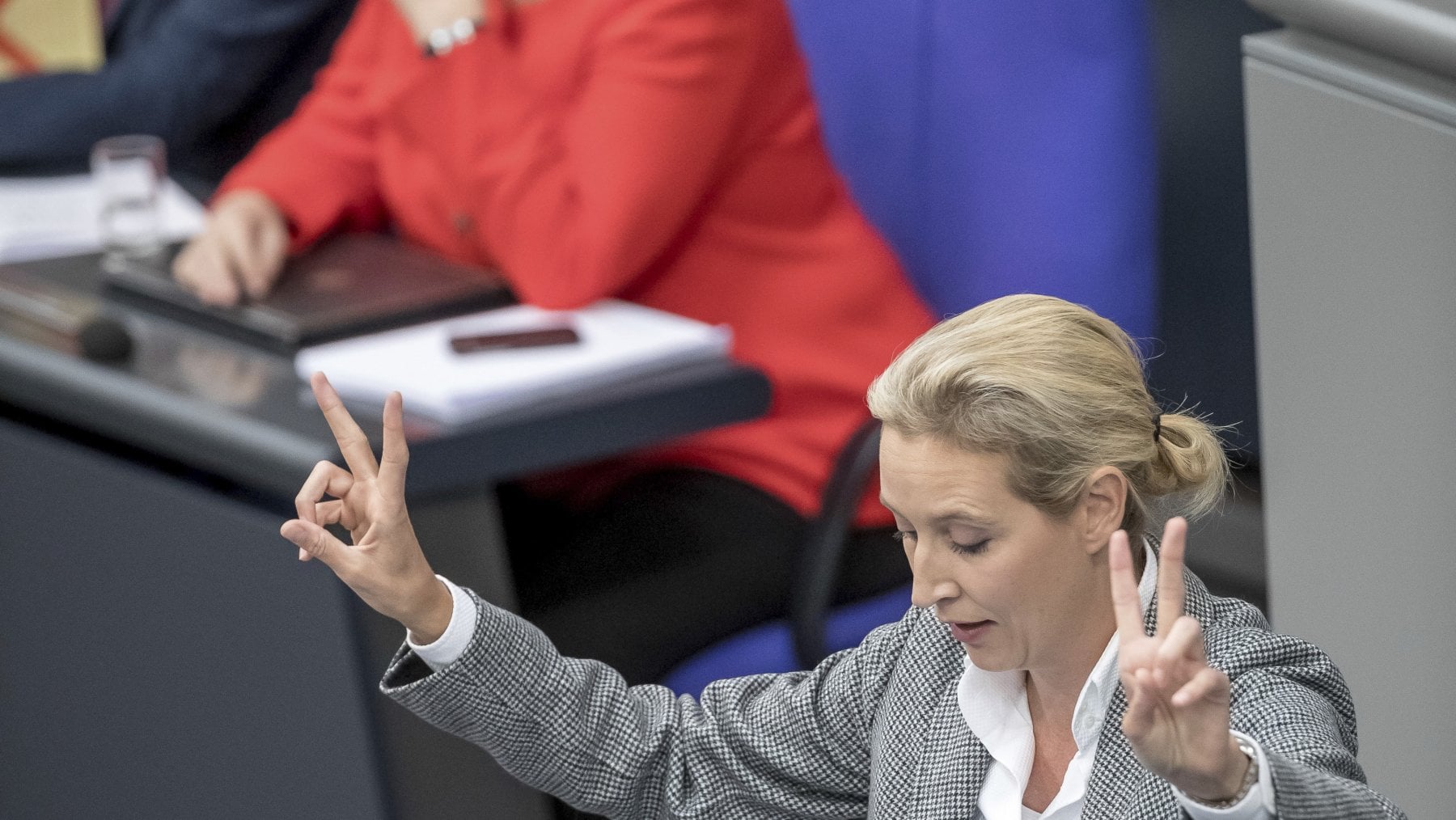 Alice Weidel in parlamento