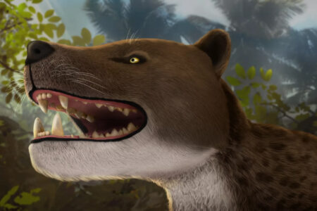 Bastetodon syrtos