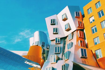 Un palazzo di Frank Gehry