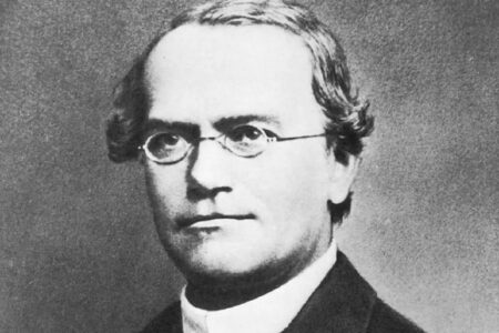 gregor mendel