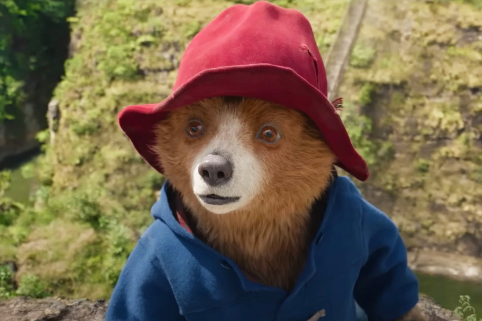 come-nacque-paddington-l-orsetto-che-fece-innamorare-anche-la-regina