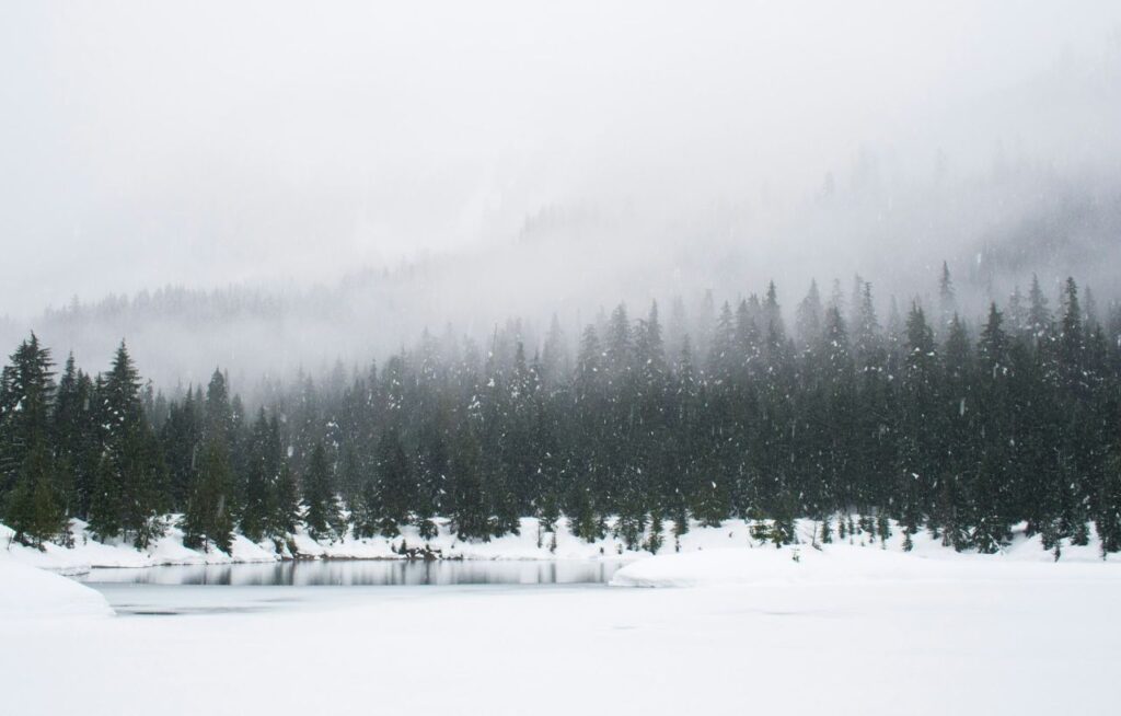 un paesaggio innevato