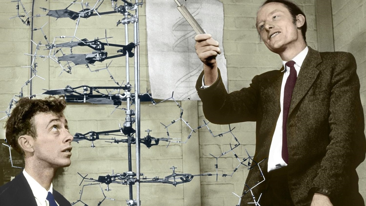 James Watson e Francis Crick con un modello di DNA nel 1953