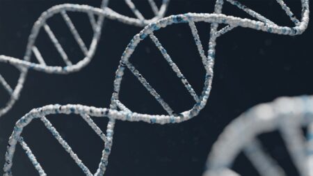 FILAMENTO DI dna