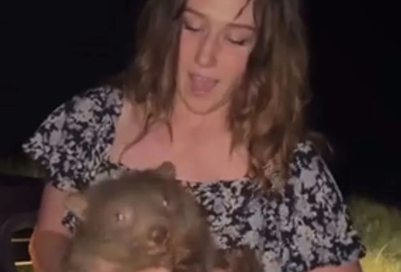 Influencer americana espulsa Australia per aver separato un cucciolo di wombat dalla madre