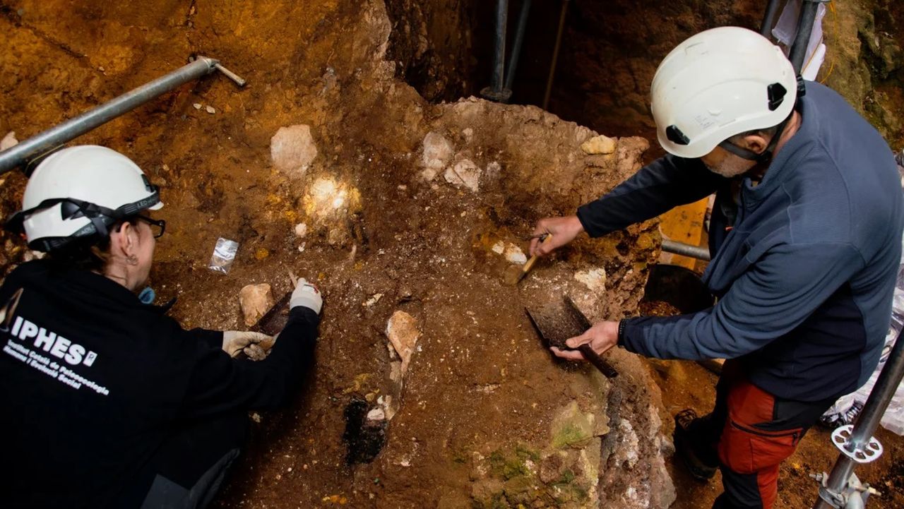 Scoperto in Spagna fossile del più antico volto umano noto in Europa: si chiama Pink (come i Pink Floyd)