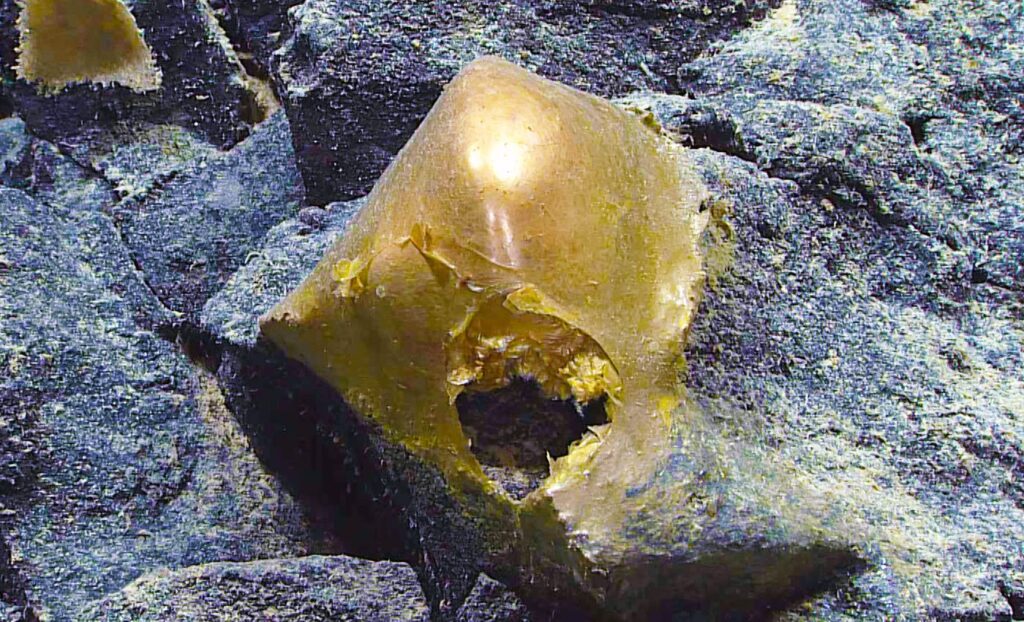 Sfera dorata oceanica