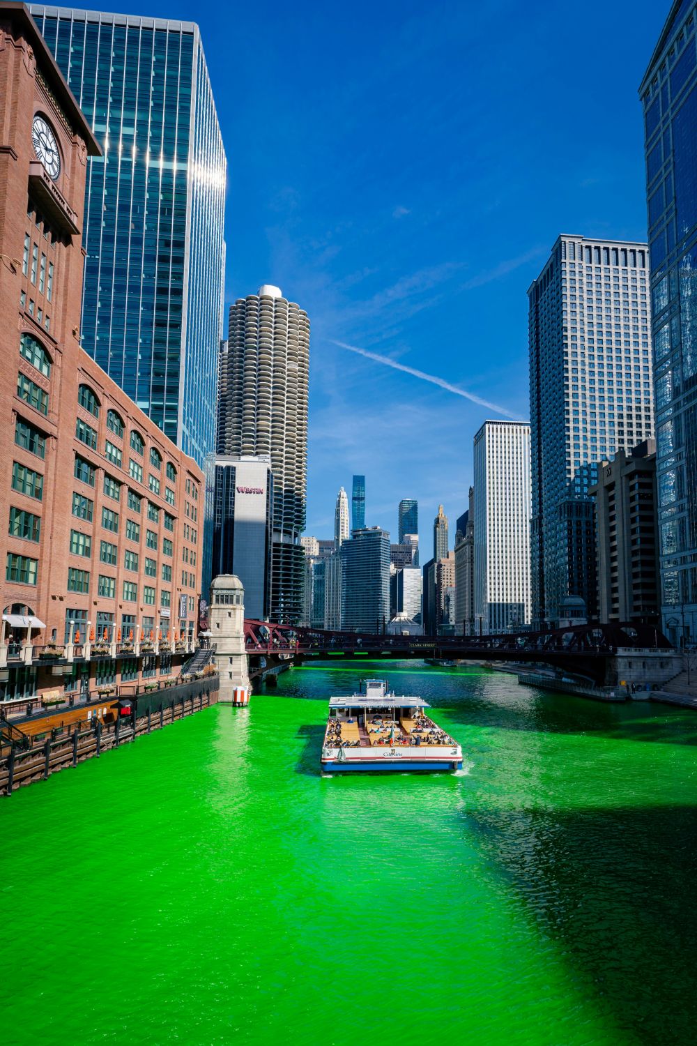 il fiume di chicago tinto di verde