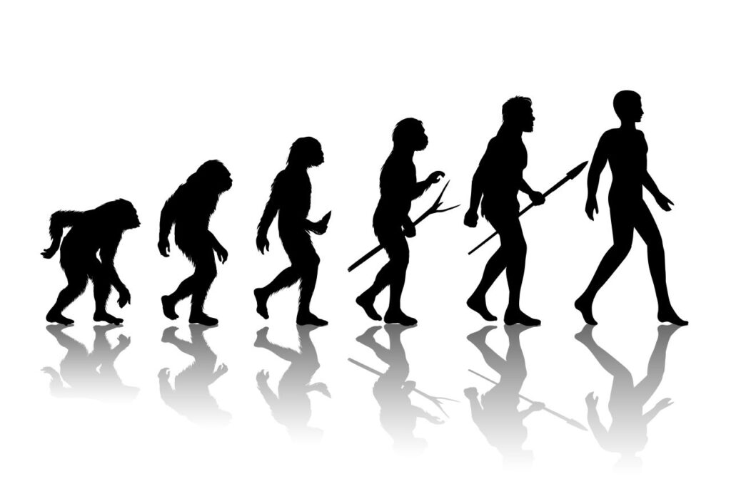 L'evoluzione umana