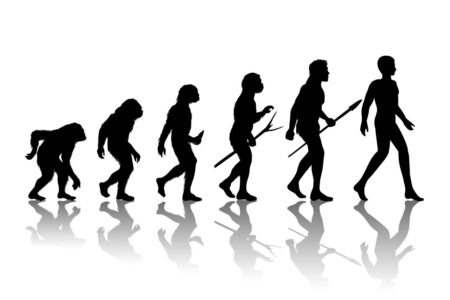 L'evoluzione umana