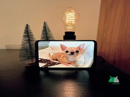 Chihuahua Easter Egg Samsung