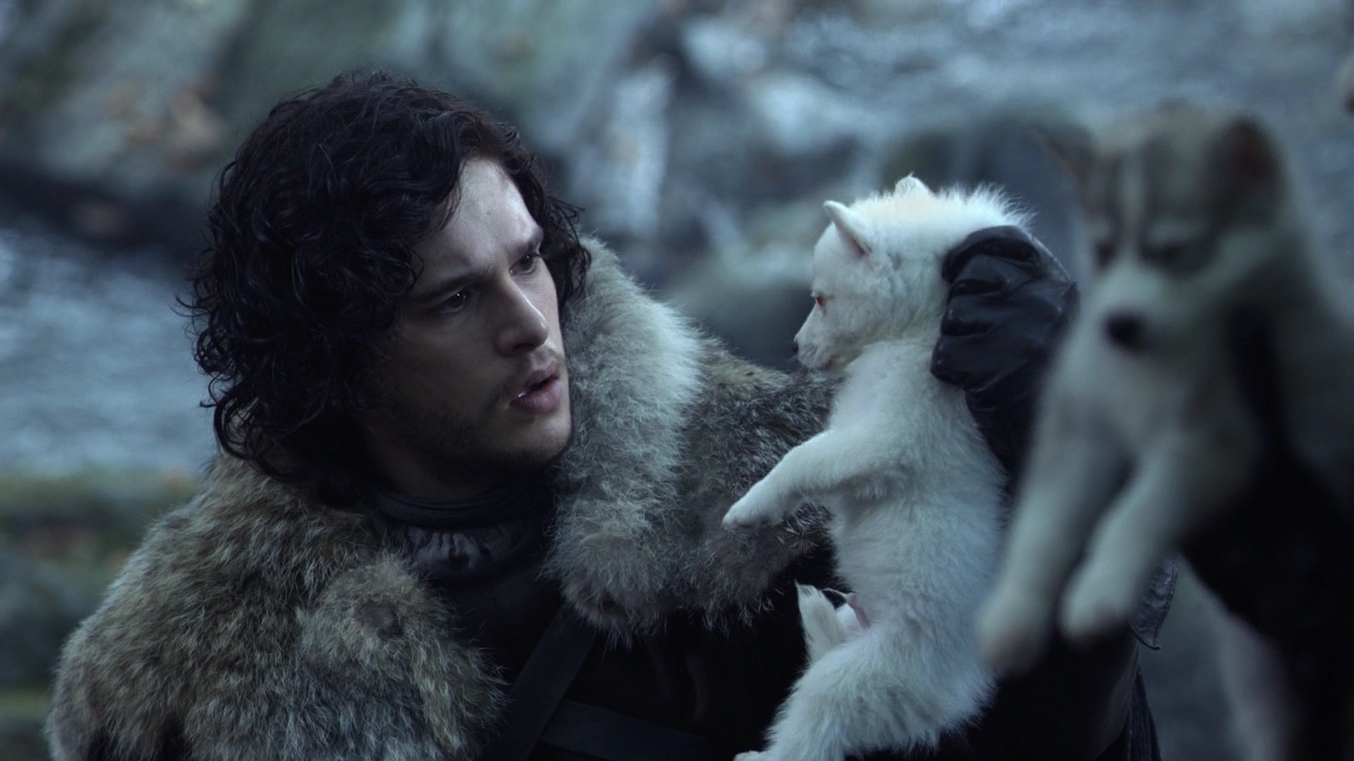 Jon Snow con un cucciolo di lupo