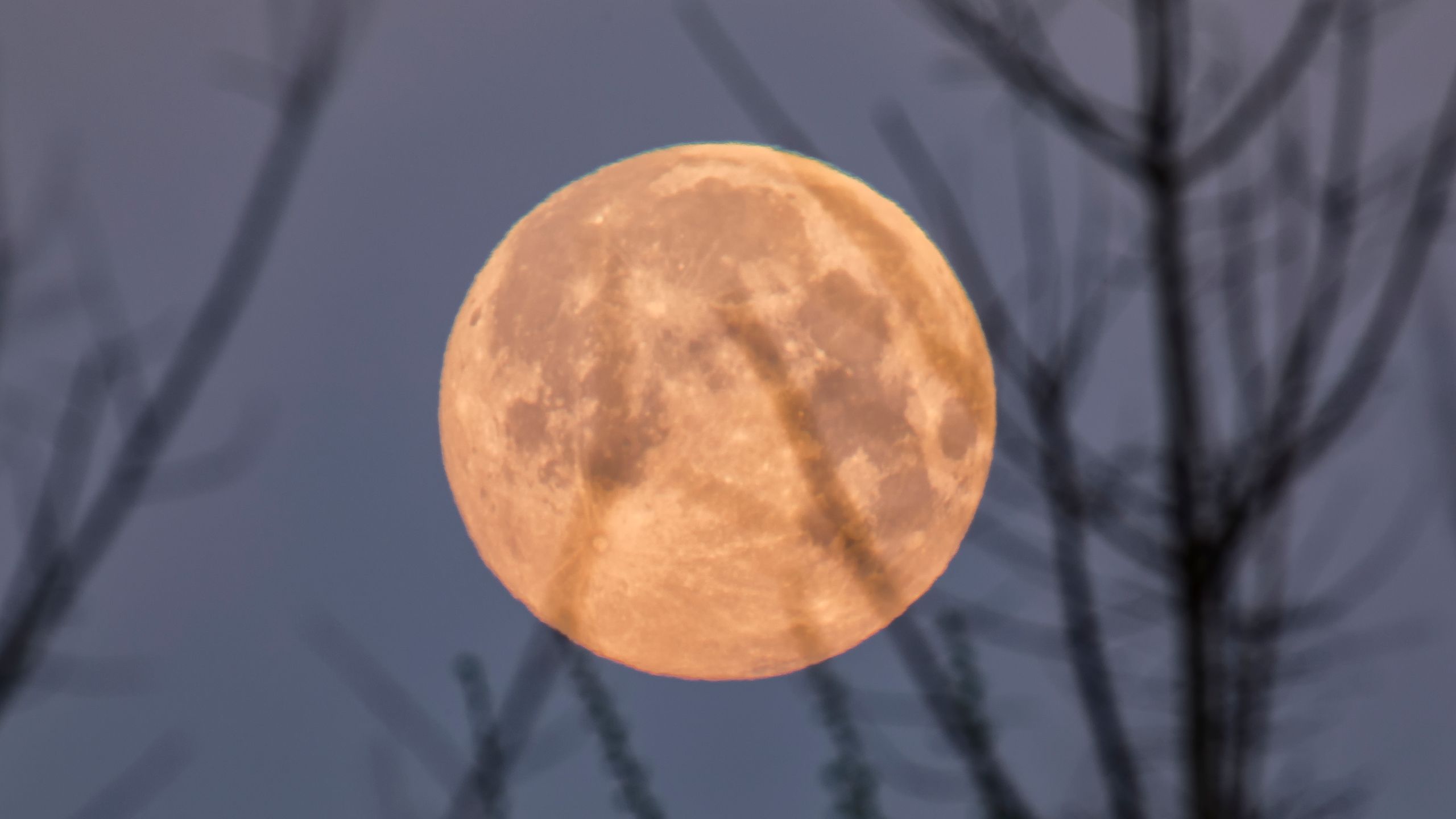 La luna rosa di Aprile